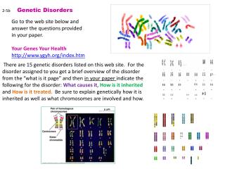 2-5b Genetic Disorders