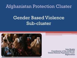 Afghanistan Protection Cluster Gender Based Violence Sub-cluster