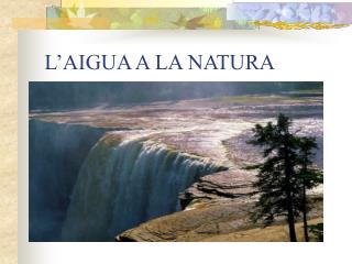 L’AIGUA A LA NATURA