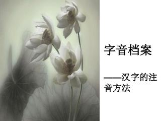 字音档案