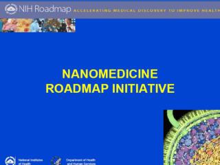 NIH Nanomedicine Roadmap Definitions (nihroadmap.nih/nanomedicine)