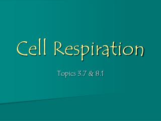 Cell Respiration