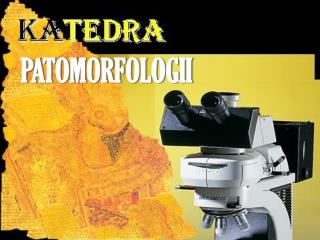PATOMORFOLOGII