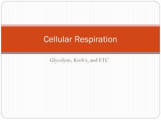 Cellular Respiration