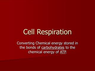 Cell Respiration