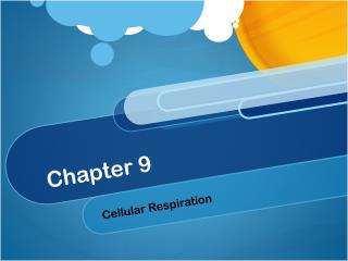 Chapter 9