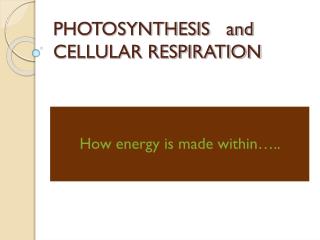 PHOTOSYNTHESIS and CELLULAR RESPIRATION