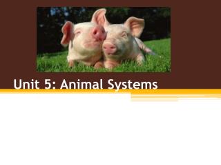 Unit 5: Animal Systems