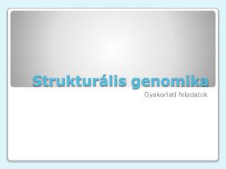 Strukturális genomika