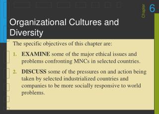 Organizational Cultures and Diversity