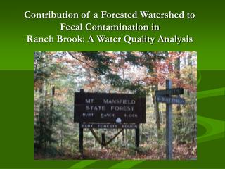 Contribution of a Forested Watershed to Fecal Contamination in