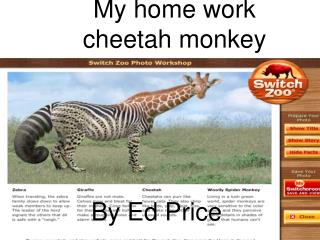 My home work cheetah monkey