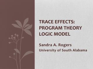 Trace Effects: Program Theory Logic Model