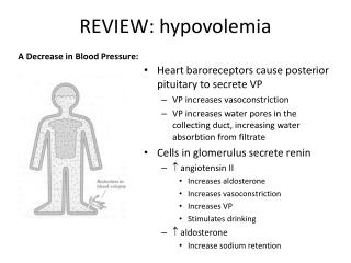REVIEW: hypovolemia
