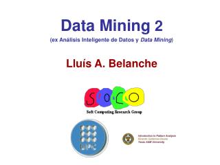 Data Mining 2 (ex Análisis Inteligente de Datos y Data Mining ) Lluís A. Belanche