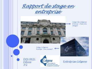 Rapport de stage en entreprise