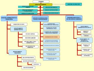 Organigrama_guatemala