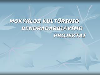 MOKYKLOS KULTŪRINIO BENDRADARBIAVIMO PROJEKTAI