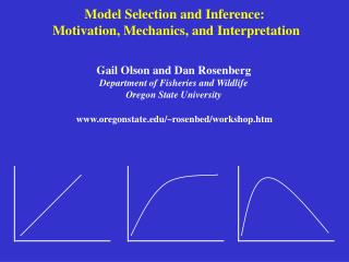 Model Selection and Inference: Motivation, Mechanics, and Interpretation