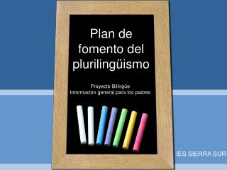 Plan de fomento del pluriling üismo