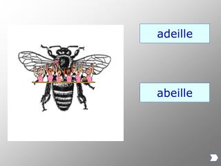 adeille