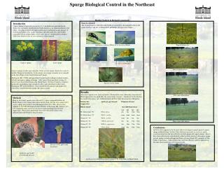 Spurge Biological Control in the Northeast Heather Faubert &amp; Richard Casagrande