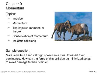 Impulse Momentum The impulse-momentum theorem Conservation of momentum Inelastic collisions