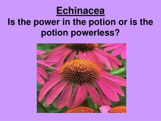 Echinacea Is the power in the potion or is the potion powerless?
