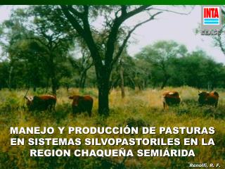 MANEJO Y PRODUCCIÓN DE PASTURAS EN SISTEMAS SILVOPASTORILES EN LA REGION CHAQUEÑA SEMIÁRIDA