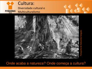 Cultura: Diversidade cultural e Multiculturalismo