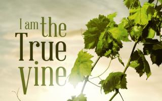 The Characters of the Vineyard There is the “ Husbandman ” Tiller of the ground – Farmer