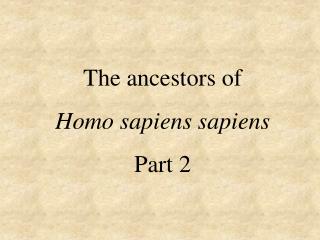 The ancestors of Homo sapiens sapiens Part 2
