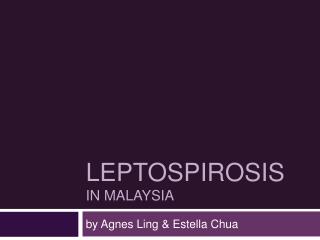 LEPTOSPIROSIS IN MALAYSIA