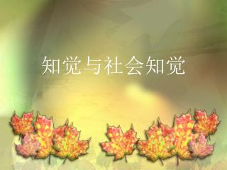 知觉与社会知觉
