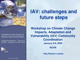 IAV: challenges and future steps