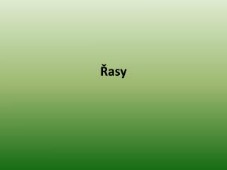 Řasy