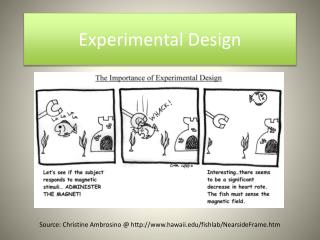 Experimental Design