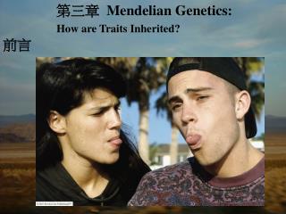 第三章 Mendelian Genetics: How are Traits Inherited? 前言
