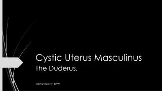 Cystic Uterus Masculinus