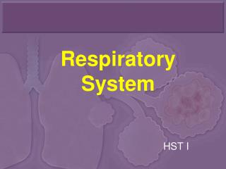 Respiratory System