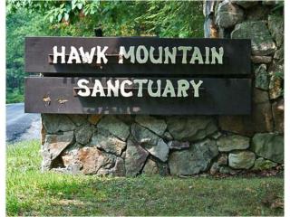 Hawk Mountain