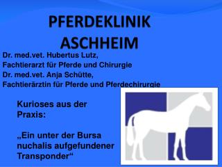 PFERDEKLINIK ASCHHEIM