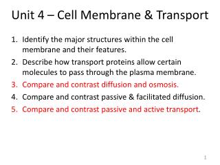 Unit 4 – Cell Membrane &amp; Transport