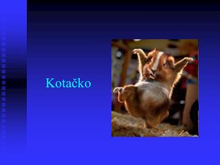 Kotačko