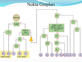 Nokta Grupları