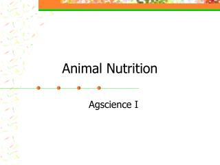 Animal Nutrition