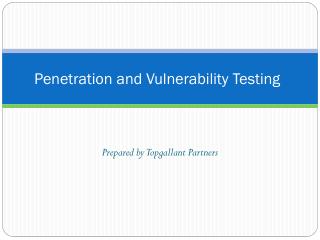 Penetration and Vulnerability Testing