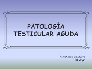 PATOLOGÍA TESTICULAR AGUDA