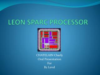 LEON SPARC PROCESSOR