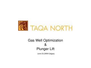 Gas Well Optimization &amp; Plunger Lift June 23,2008 Calgary